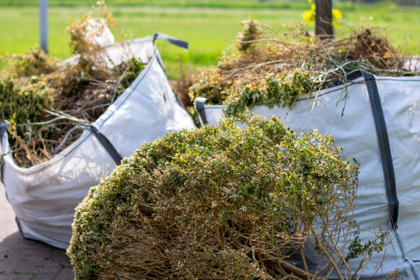 Best Construction Debris Removal  in Whitesburg, KY